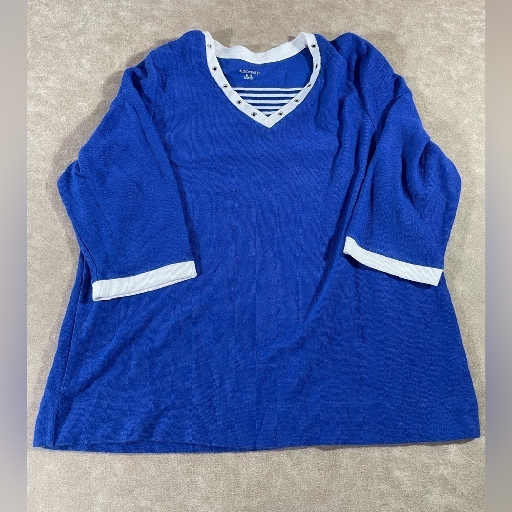 Allison‎ Daley V Neck Pullover Blue White Sweater Long Sleeve Size XL